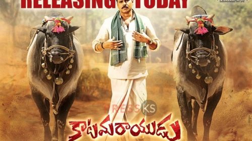 Box Office Update of Telugu Movie Katamrayudu